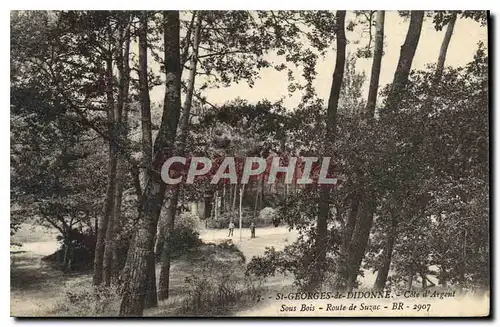 Cartes postales St Georges de Didonne Cote d'Argent Sous Bois Route de Suzac