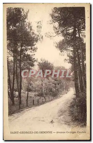 Cartes postales Saint Georges de Didonne Avenue Georges Coulon