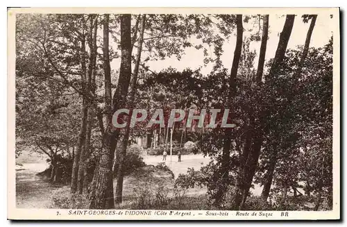 Cartes postales Saint Georges de Didonne Cote d'Argent Sous bois Route de Suzac