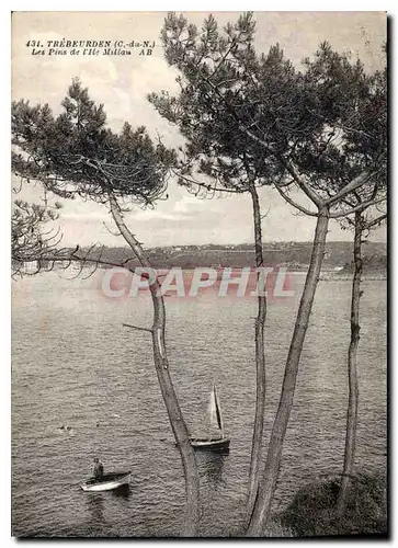 Ansichtskarte AK Trebeurden Les pins de l'Ile Millau