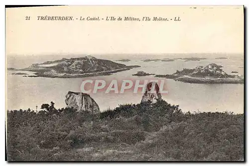 Cartes postales Trebeurden Le Caste L'Ile de Milliau L'Ile Molene