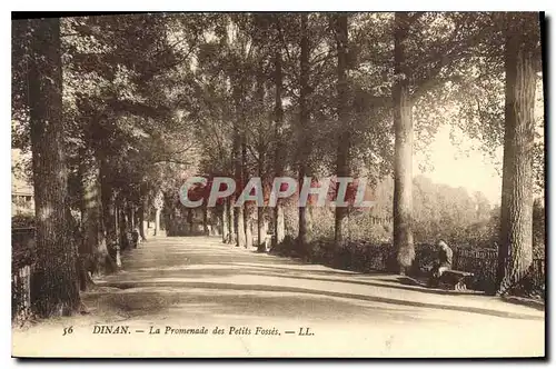 Cartes postales Dinan La Promenade des Petits Fosses