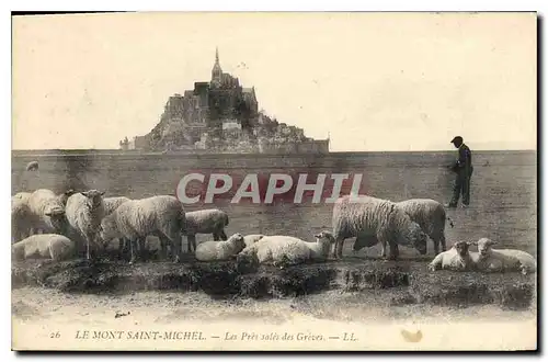 Ansichtskarte AK Le Mont Saint Michel Les Pres sales des Greves Berger Moutons