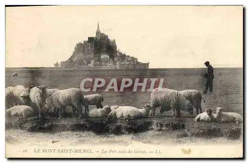 Cartes postales Le Mont Saint Michel Les Pres sales des Greves Berger Moutons