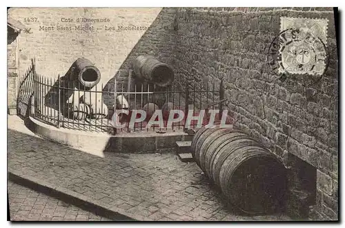 Cartes postales Mont Saint Michel Les Michelettes