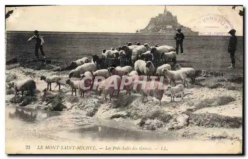 Ansichtskarte AK Le Mont Saint Michel Les Pres Sales des Greves Berger Moutons