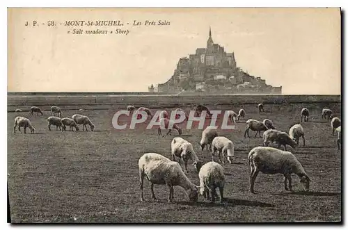 Cartes postales Mont St Michel Les Pres Sales