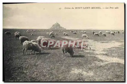 Ansichtskarte AK Greves du Mont Saint Michel Les Pres sales Moutons