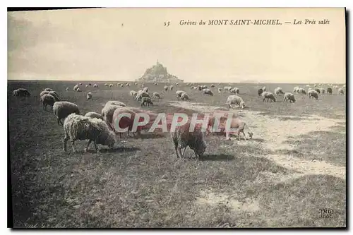 Cartes postales Greves du Mont Saint Michel Les Pres sales Moutons