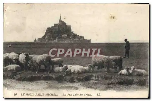 Cartes postales Le Mont Saint Michel Les Pres Sales des Greves Berger Moutons