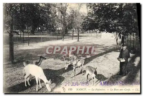 Ansichtskarte AK Nancy La Pepiniere Le Parc aux Cerfs