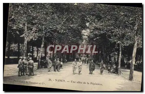 Cartes postales Nancy Une allee de la Pepiniere