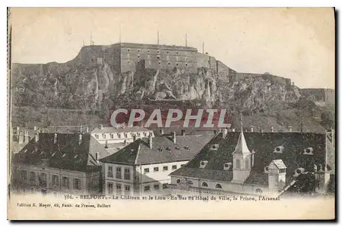 Cartes postales Belfort Le Chateau et le Lion