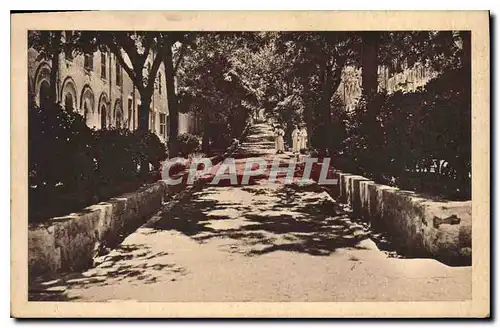 Ansichtskarte AK St Michel de Frigolet Dans les allees de l'Abbaye