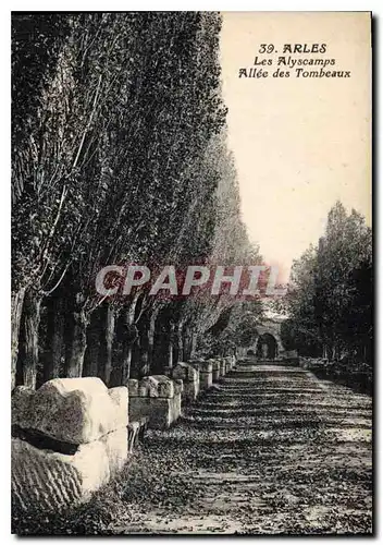 Cartes postales Arles Les Alyscamps Allee des Tombeaux