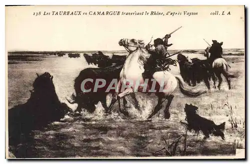 Cartes postales Les Taureaux en Camargue