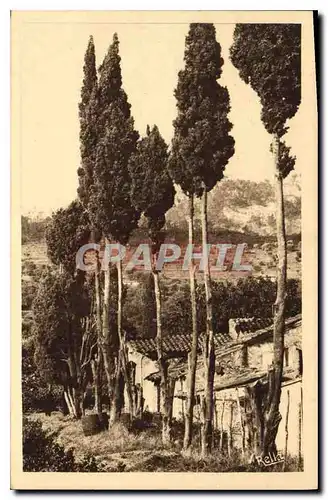 Cartes postales Paysage Provencal