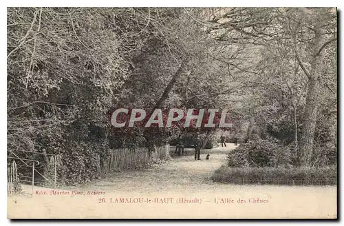 Ansichtskarte AK Lamalou le Haut Herault L'Allee Chenes