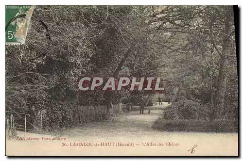 Ansichtskarte AK Lamalou le Haut Herault L'Allee des Chenes