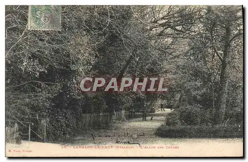 Cartes postales Lamalou le Haut Herault L'Allee des Chenes