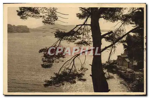 Cartes postales Toulon Var Anse de Magaud