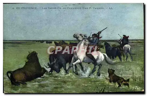 Ansichtskarte AK En Provence les Taureaux de Camargue par P Vayson