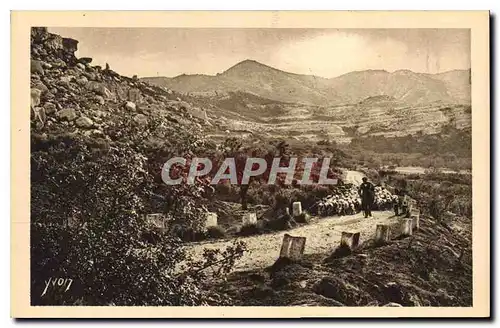 Cartes postales LA DOUCE FRANCE Paysages et pierres de Provence Sur la route de Saint REmy aux Baux