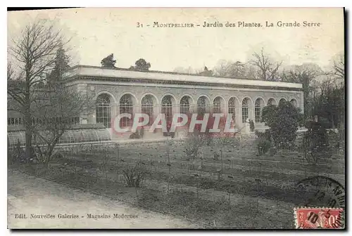 Ansichtskarte AK Montpellier Jardin des plantes La grande serre