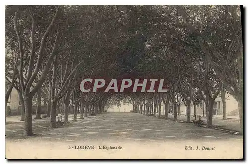 Cartes postales LODEVE L'Esplanade