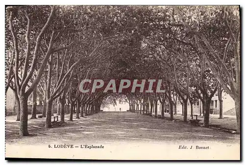 Cartes postales LODEVE L'Esplanade