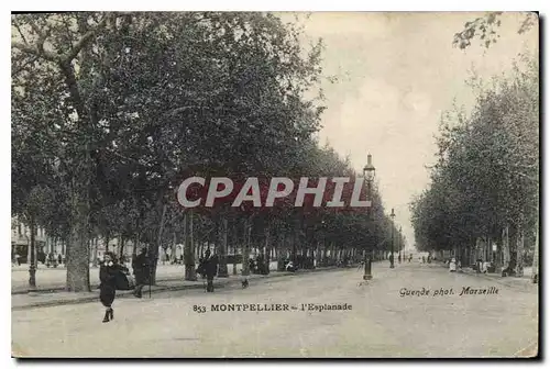 Cartes postales MONTPELLIER I'Esplanade