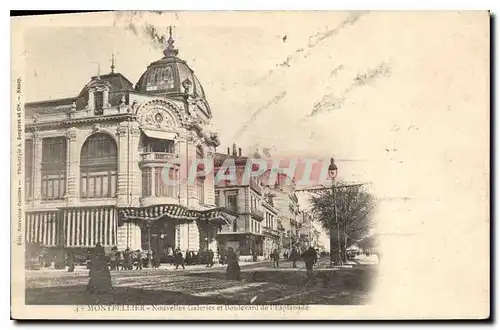 Ansichtskarte AK MONTPELLIER Nouvelles Galeries et boulevard de I'Esplanade