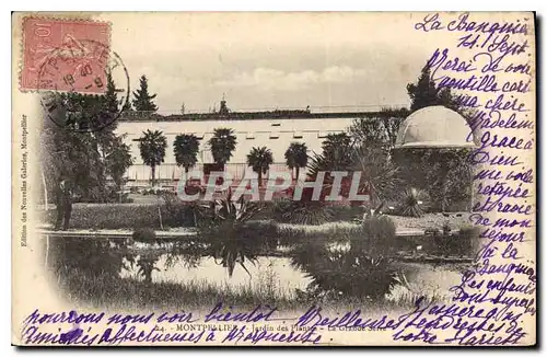 Ansichtskarte AK MONTPELLIER Jardin des Plantes La grande serre