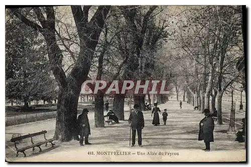 Cartes postales MONTPELLIER Une Allee du Peyrou