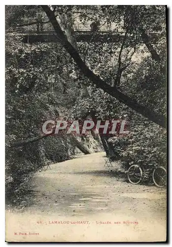 Cartes postales LAMALOU LE HAUT L'ALLEE DES SOUPIES