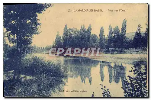 Cartes postales LAMALOU LES BAINS Vue sur I'Orb