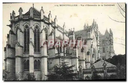 Cartes postales MONTPELLIER Vue d'Ensemble de la Cathedrale