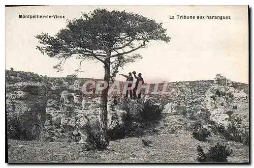 Cartes postales Montpellier le Vieux La Tribune aux hrangues