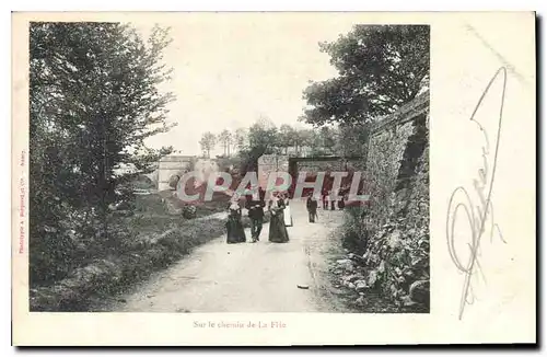 Cartes postales Nancy Sur le chemin de la Flie