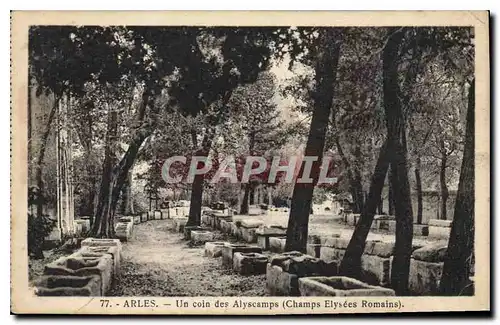 Cartes postales Arles Un coin des Aliscamps