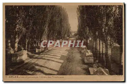 Cartes postales Arles Les Aliscamps l'Allee des Tombeaux