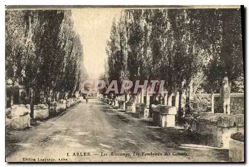 Ansichtskarte AK Arles Les Aliscamps Les Tombeaux des Consuls