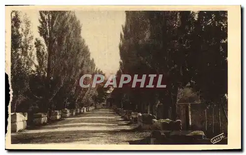 Cartes postales Arles sur Rhone Les Alyscamps Allee des Tombeaux