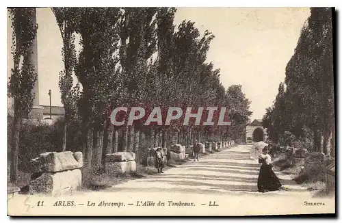 Ansichtskarte AK Arles Les Alyscamps L'Allee des Tombeaux