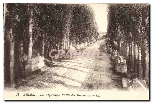 Ansichtskarte AK Arles Les Alyscamps l'Allee des Tombeaux