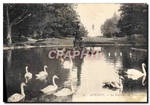 Ansichtskarte AK Avignon La Fontaine du Parc Cygnes