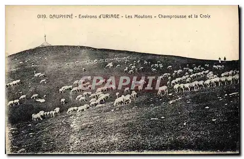 Cartes postales Dauphine Environs d'Uriage Les Moutons Champrousse et la Croix Moutons