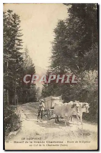 Ansichtskarte AK Massif de la Grande Chartreuse Route de St Egreve au Col de la Charmette (Isere) Attelage B�ufs