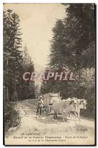 Cartes postales Massif de la Grande Chartreuse Route de St Egreve au Col de la Charmette (Isere) Attelage B�ufs