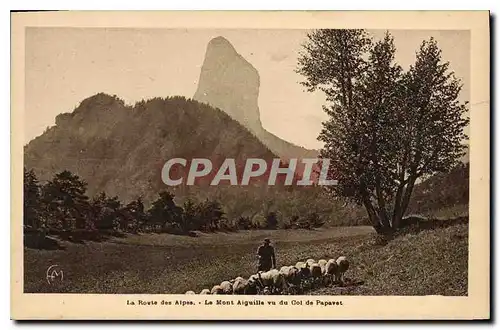 Ansichtskarte AK Le Mont Aiguille vu du Col de Papavet Berger Moutons